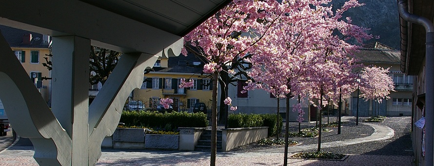 Rue des Salines en fleur