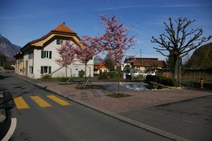 Ambiance village printemps